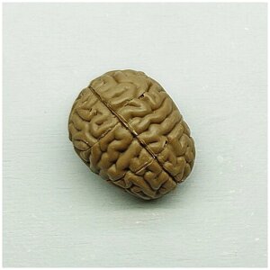 Подарочная шоколадная фигура Frade/Фраде - Мозг (вес-40г) (молочный)