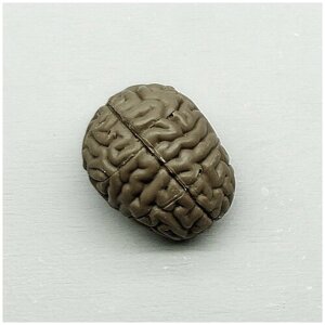 Подарочная шоколадная фигура Frade/Фраде - Мозг (вес-40г) (темный)