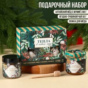 Подарочный набор «Тепла в новом году»алтайский мёд с мумиё 240 г, ягодно-травяной чай 50 г, ложка для мёда