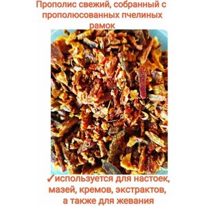 Прополис натуральный, 50гр.(собранный с прополюсованных пчелиных рамок, неочищенный, без добавок)