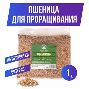 Пшеница для проращивания, микрозелень для проращивания, ростки пшеницы, витграсс 1кг
