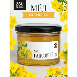 Рапсовый мед жидкий 250 г в стеклянной банке, для иммунитета, вкусный подарок