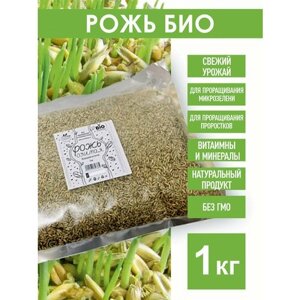 Рожь Озимая Семена ржи БИО, 1 кг. биоорганическая, для проращивания, микрозелени, проростков