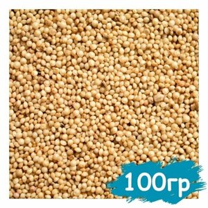 Семена амаранта 100 гр, пищевое зерно для проращивания, крупа для варки и заваривания, суперфуд для еды, амарант