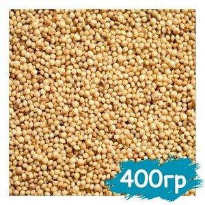 Семена амаранта 400 гр, пищевое зерно для проращивания, крупа для варки и заваривания, суперфуд для еды, амарант