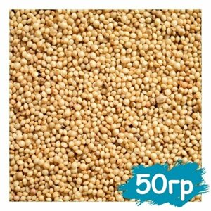 Семена амаранта 50 гр, пищевое зерно для проращивания, крупа для варки и заваривания, суперфуд для еды, амарант