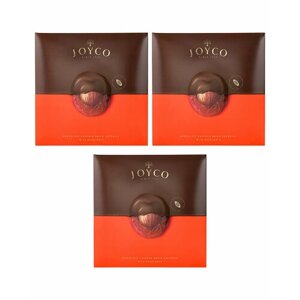 Шоколадные конфеты JOYCO Сухофрукт вишни в шоколаде с фундуком 170 гр. 3 шт.