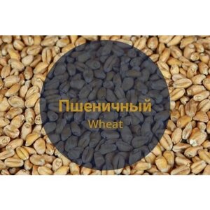 Солод Bestmalz "Wheat"Пшеничный), Германия, 20 кг, С помолом