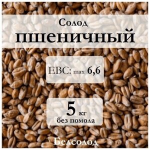 Солод пивоваренный пшеничный "Белсолод" 5 кг без помола