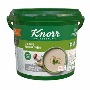 Суп-пюре из белых грибов 1,7 кг Knorr Professional сухая смесь, 1 шт