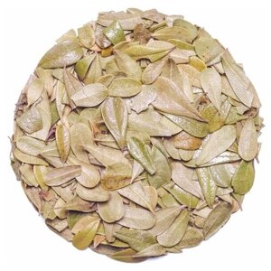 Толокнянка лист, для почек, женское здоровье, Марва Оганян, травяной чай, Алтай 500 гр.