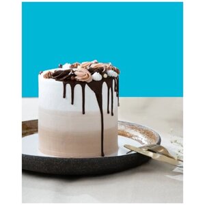 Торт-мороженое baskin robbins "шоколад" 0,65 кг