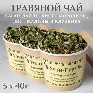 Травяной чай Улэн-Гурт "Энергия природы" с саган-дайля, ягодами клубники, листьями малины и смородины, без кофеина, 3 шт. х 40 гр.