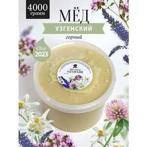 Узгенский горный мед 4000 г, для иммунитета, вкусный подарок, полезный подарок