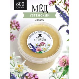 Узгенский горный мед 800 г, для иммунитета, вкусный подарок, полезный подарок