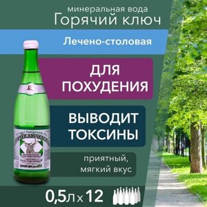 Вода Горячий Ключ Лечебно-столовая. Объем 0.5л*12 в стекле. Вода минеральная газированная природная лечебная, выводит токсины, для детей