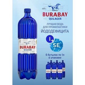 Вода минеральная питьевая Burabay Qulager 1 л (упаковка 6 штук