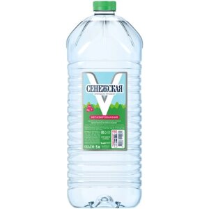 Вода минеральная питьевая Сенежская негазированная, ПЭТ, без вкуса, 2 шт. по 5 л