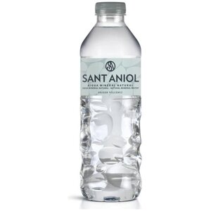 Вода минеральная природная Sant Aniol (Сант Аниол), 24 шт по 0,5 л, без газа, ПЭТ