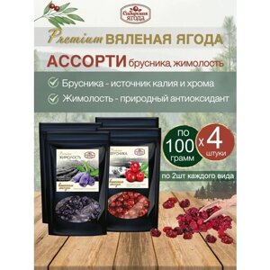 Вяленые ягоды Брусника и Жимолость набор 4 шт по 100 гр