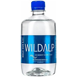 Wildalp Вода Альпийская природная родниковая без газа высшая категория, 0,5 л