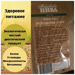 Зерна ржи пророщенные сухие / здоровое питание / диетический продукт