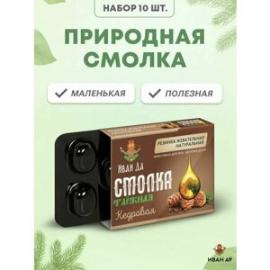 Живица кедровая натуральная жевательная резинка без сахара смолка шоубокс 10 упаковок по 5 шт