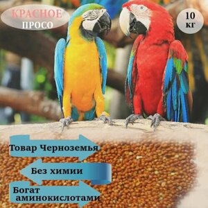10 кг. Семена просо красное / корм для попугаев птиц и грызунов / зерна для проращивания