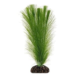 2568P Растение пласт 25см зелёное Эгерия 8