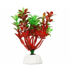 [289.0101] УЮТ Растение аквариумное 10см Гемиантус красно-зеленый 0,02кг (ВК108)