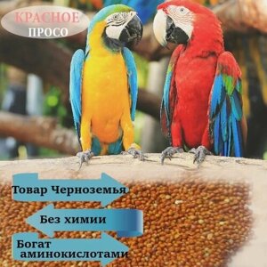 480Мл, семена просо красное / корм для попугаев птиц и грызунов / зерна для проращивания