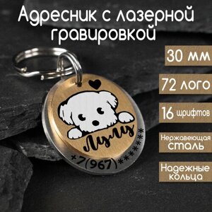 Адресник для собак и кошек с гравировкой, брелок на ключи, именной жетон 30 мм, двойной, Серебро-Золото, матовый