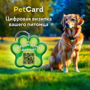 Адресник PetCard для собак и кошек с QR кодом и NFC, зелёный.