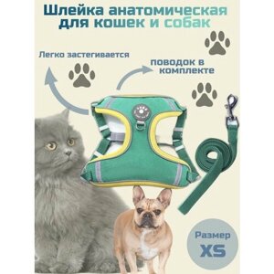 Анатомическая шлейка для собак мелких пород и кошек с поводком