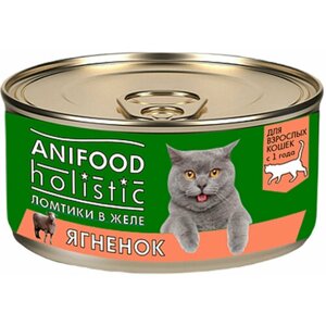 ANIFOOD HOLISTIC для кошек ломтики в желе с ягненком (100 гр)