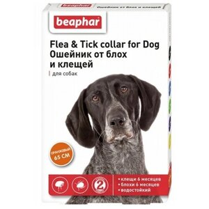 Beaphar ошейник от блох и клещей Flea & Tick для собак и кошек, 65 см, оранжевый