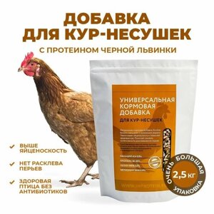Белковый премикс для куриц несушек инпротеин. Добавки для кур с протеином Черной львинки 2,5 кг.