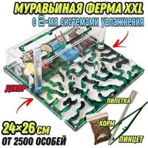 Большая муравьиная ферма "Мята" XXL lux 26*24см с 2-мя системами увлажнения