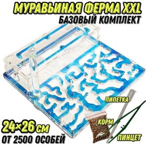Большая муравьиная ферма "Вода" XXL 26х24 Базовый комплект