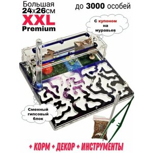 Большая муравьиная ферма XXL Premium 24*26см Полный комплект Космос