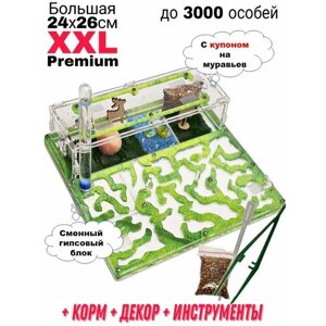 Большая муравьиная ферма XXL Premium 24*26см Полный комплект Салат