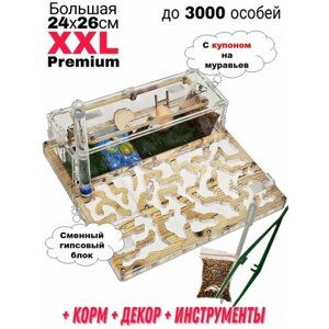 Большая муравьиная ферма XXL Premium 24*26см Полный комплект Сосна