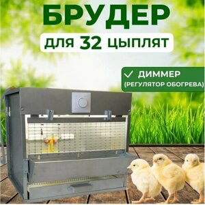 Брудер Оптима Премиум для 32 цыплят, корпус и поддон из нержавеющей стали