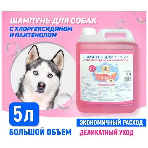 Conflate Славика Натур Шампунь для собак с хлоргексидином 5 л