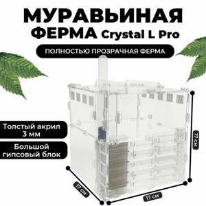 "Crystal L Pro"муравьиная ферма с декором и всеми необходимыми аксессуарами