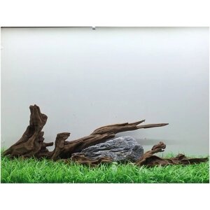 Декор аквариумный композиция коряга мангровая + камень серая гора лот 001