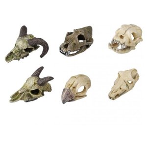 Декорация для аквариума AQUA DELLA "Мини череп Skullmini Assorted", 7-10см, в ассортименте 1шт