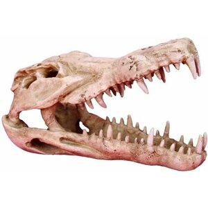 Декорация для аквариума Череп крокодила пластиковая, 25 х 11,2 х 15,2 см, PRIME (1 шт)