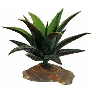 Декоративное растение для террариумов LUCKY REPTILE "Succulent", 10см (Германия)