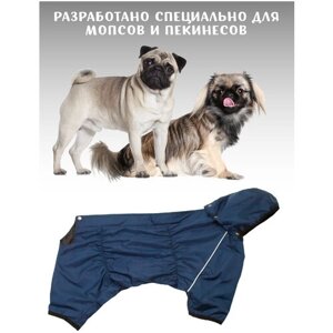 Демисезонный комбинезон для собак породы пекинес, мопс, темно-синий, размер МБ3